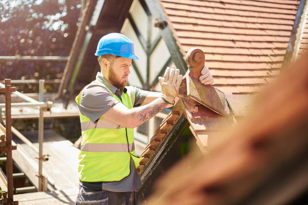 Roof Gutter Cleaning in Athens, TN